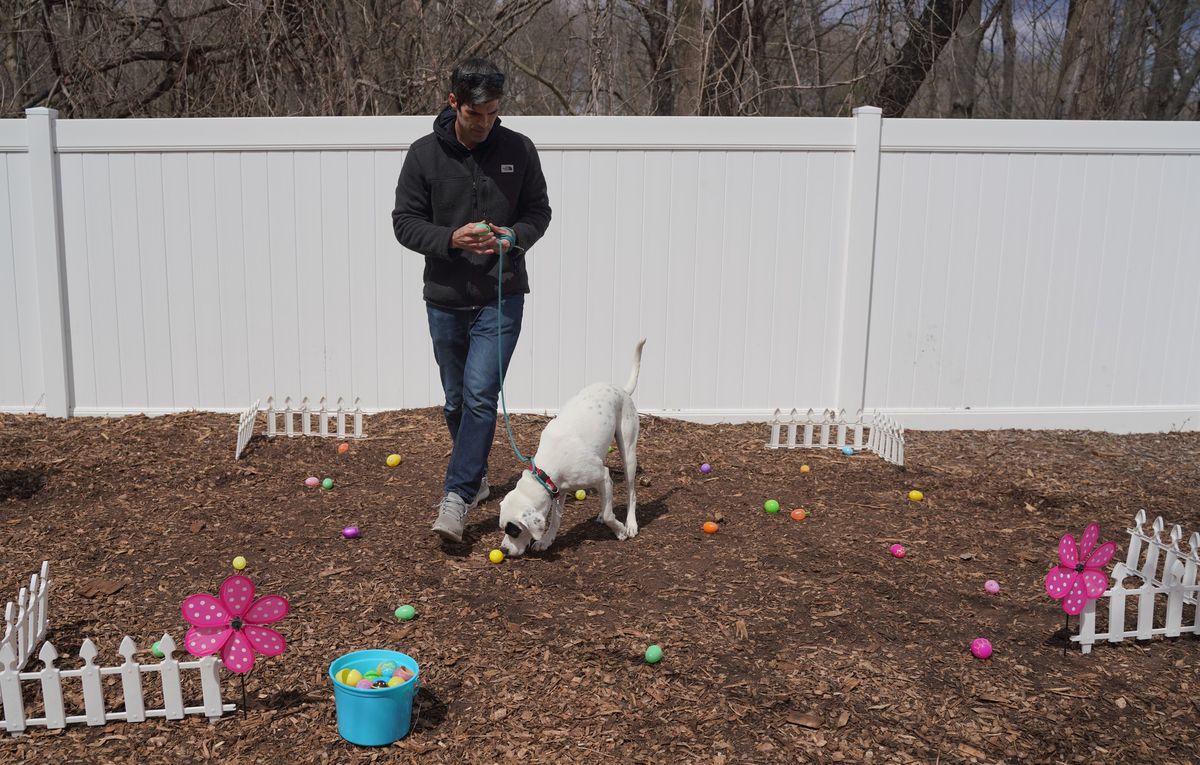 Doggie Easter Egg Hunt