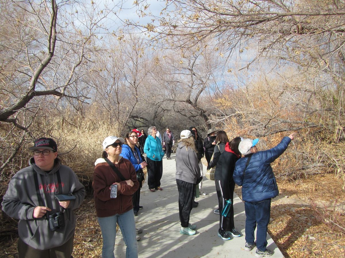 Discovery Walk: In the Wetlands, Where Nature Becomes Personal