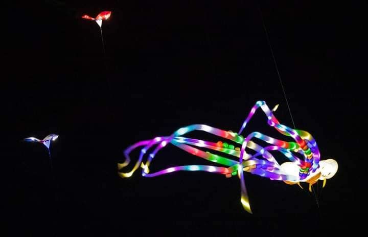 Surfside's Christmas Nighttime Kites