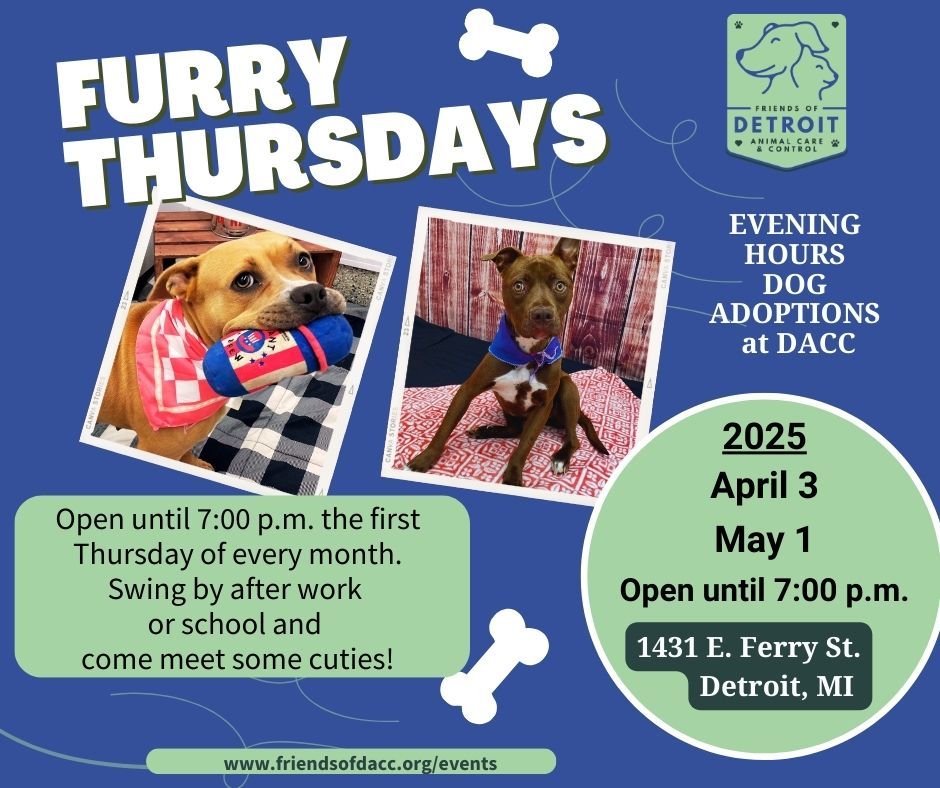 Furry Thursday - Evening Dog Adoption Event