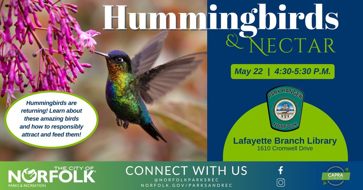 Hummingbirds & Nectar