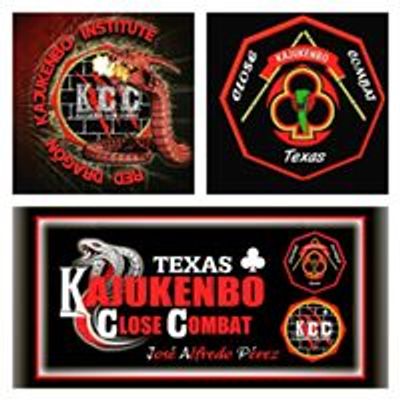 Red Dragon Kajukenbo Institute