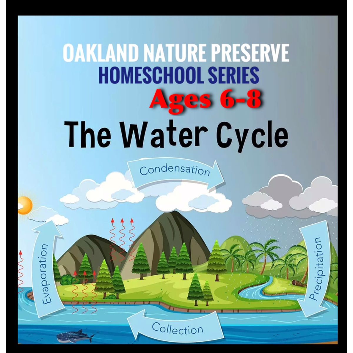 Water cycle -(ages 6-8)