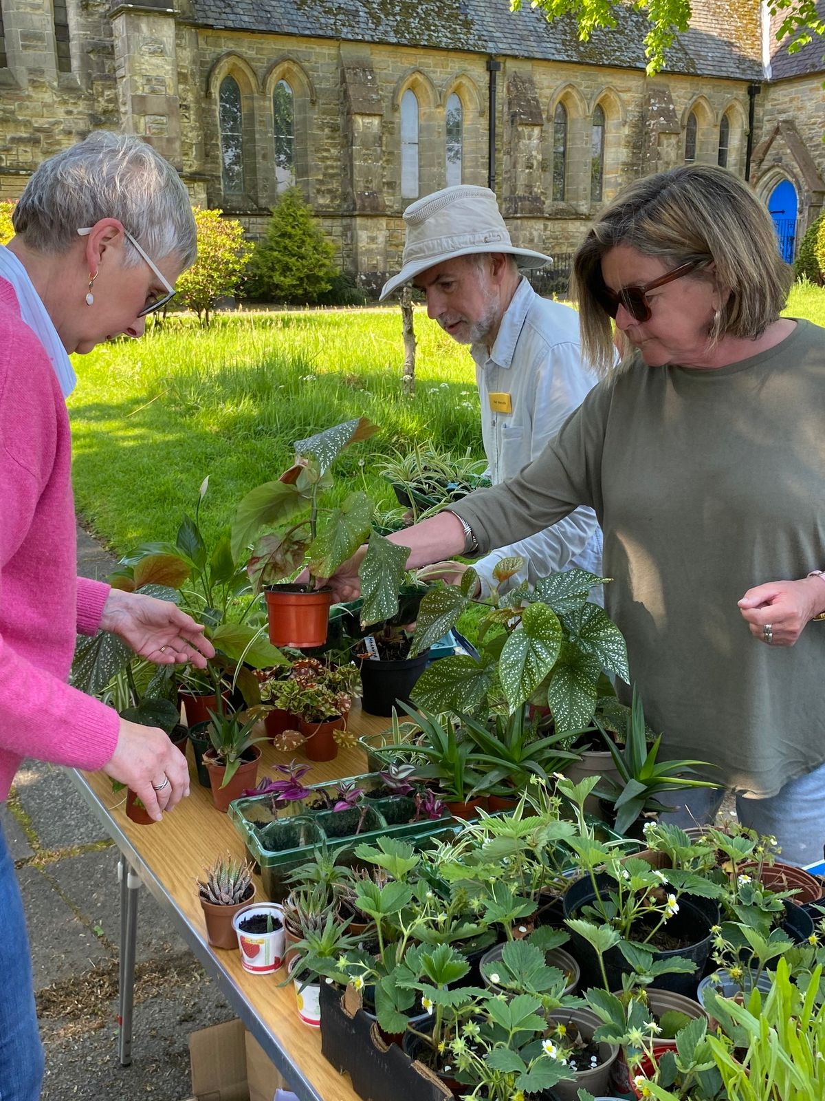 Horti Plant Sale