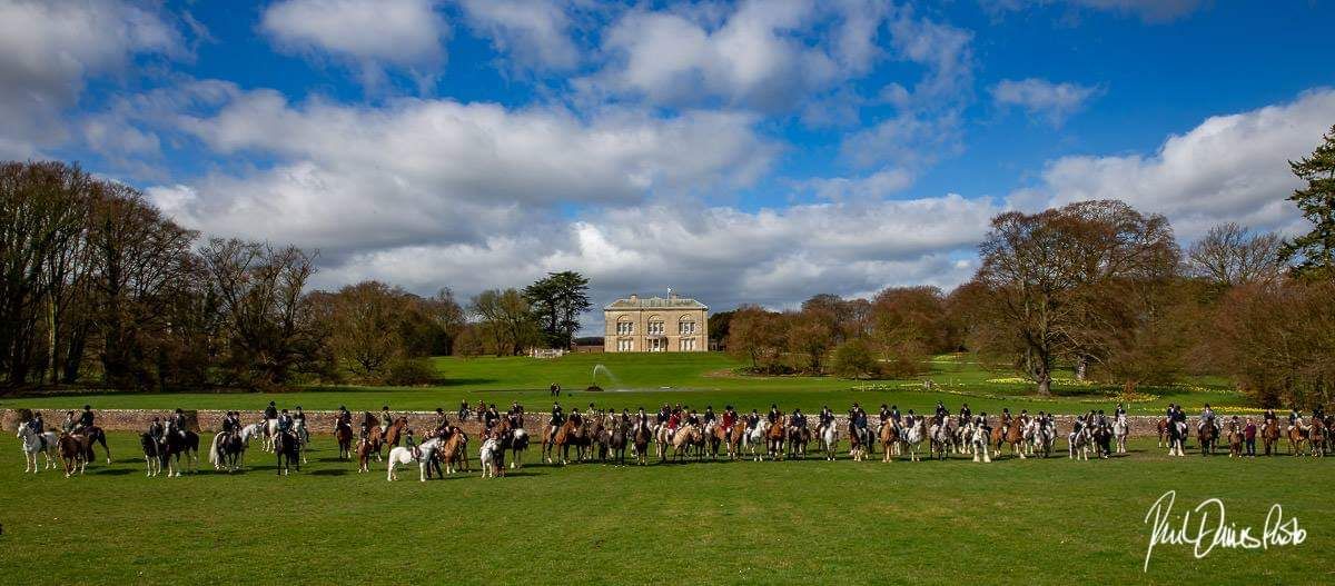 Highmoor Bloodhounds Closing Meet @ Sledmere House