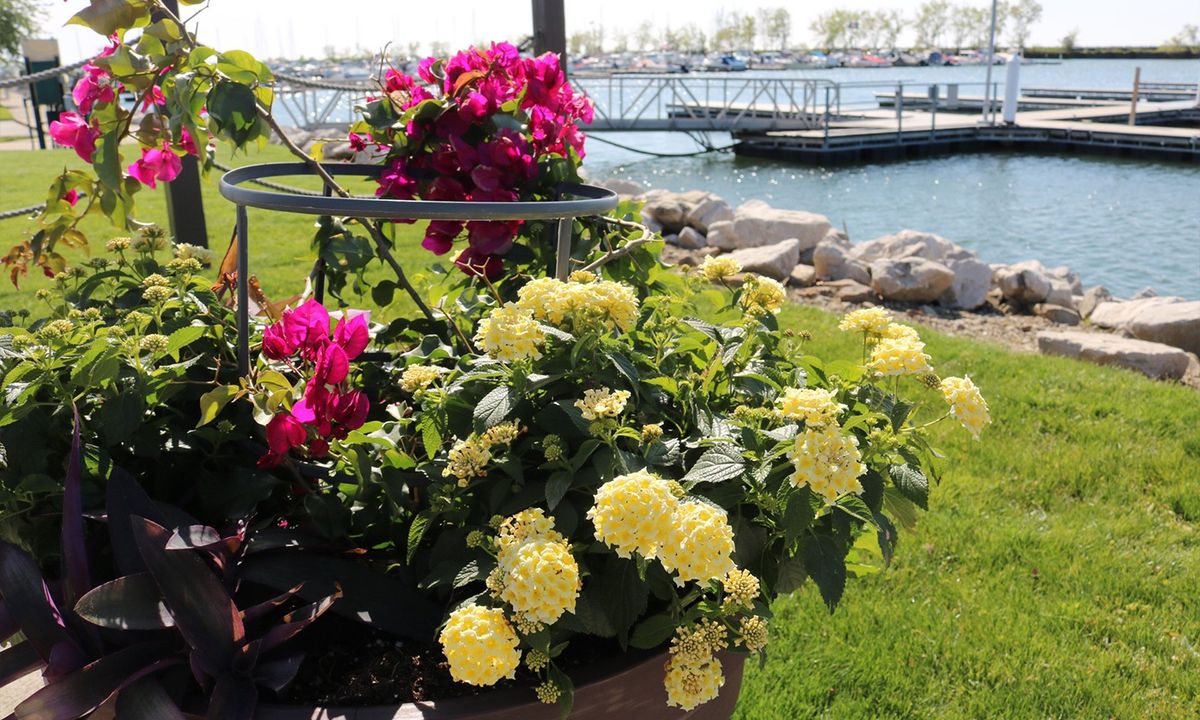 National Walk to a Park Day: Lakefront Waterside Wander