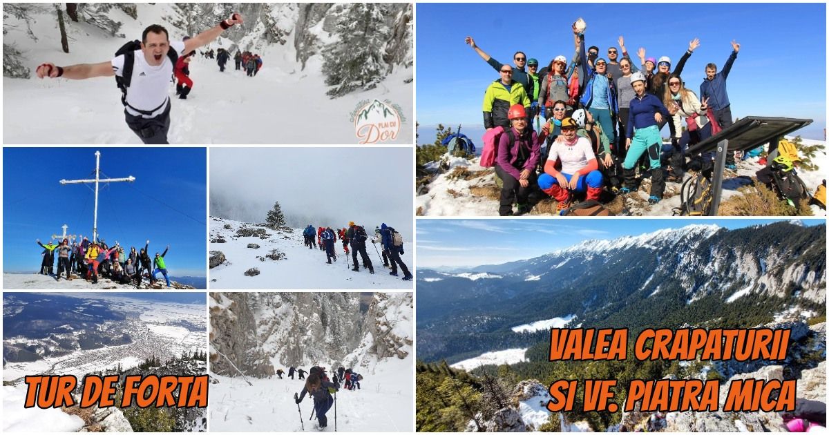 Tur de for\u021b\u0103 - Valea Cr\u0103p\u0103turii \u0219i Vf. Piatra Mic\u0103