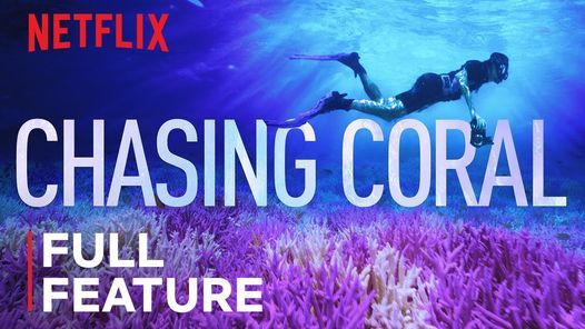 Movie Night - Chasing Coral