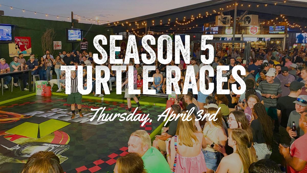 Turtle Races