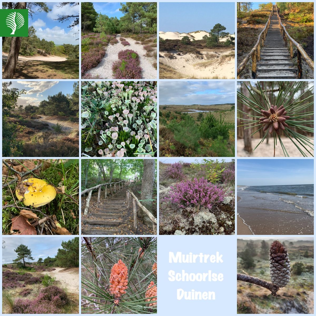 Muirtrek - van zonsopkomst tot ondergang in de Schoorlse Duinen