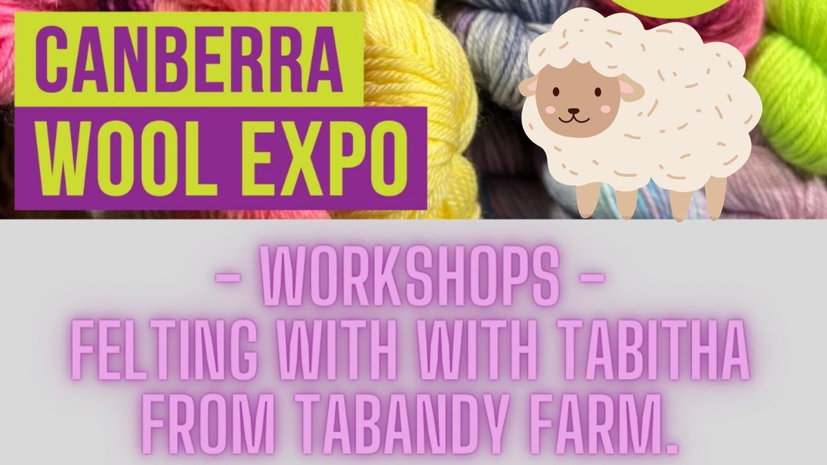 Canberra Wool Expo -  Felting workshops with Tabitha from Tabandy Farm