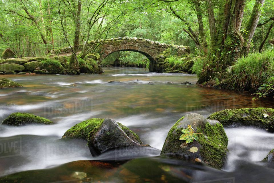 Building Bridges to Wellbeing Retreat. A retreat for Counsellors and Psychotherapists.