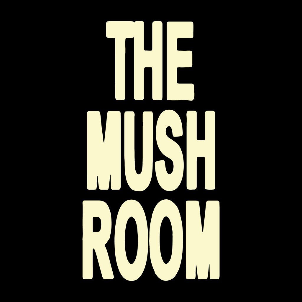 Mystic Arts & Never Never Present The Mush Room