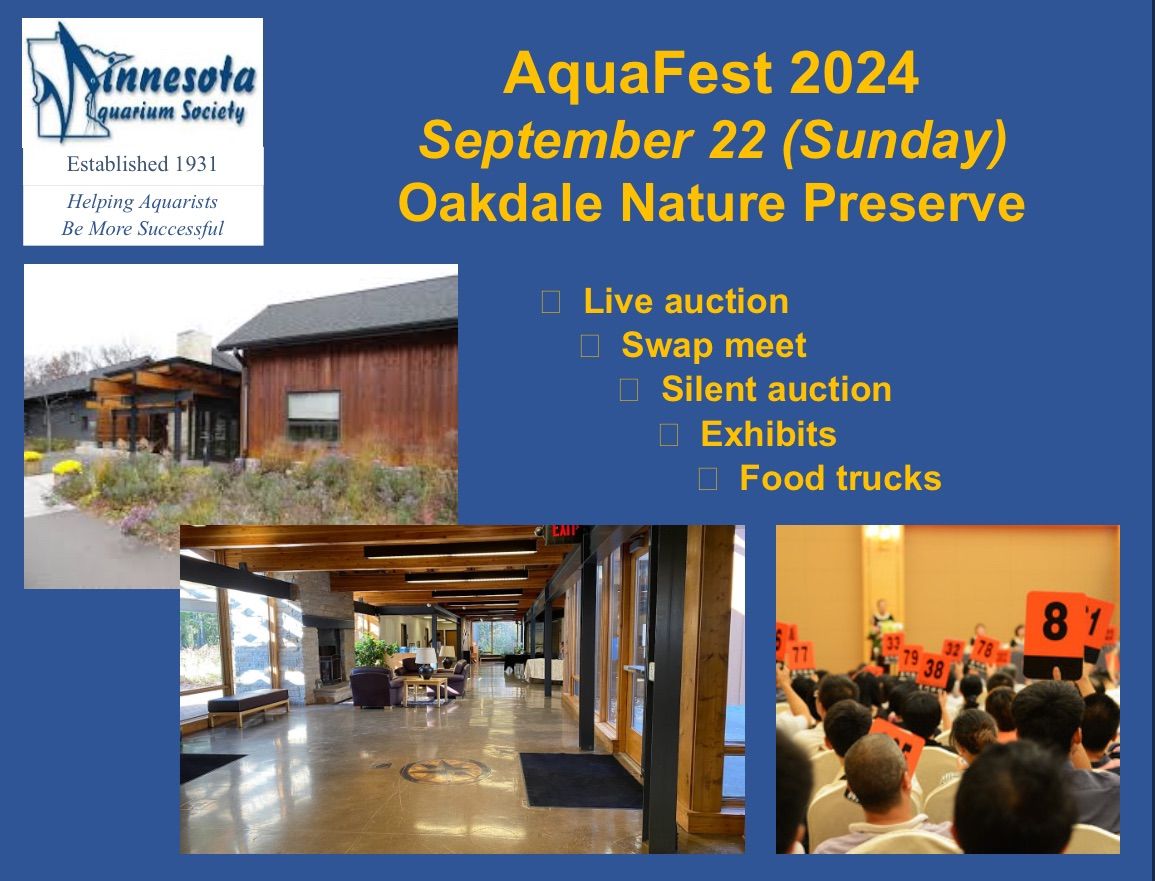 Minnesota Aquarium Society Aquafest 2024