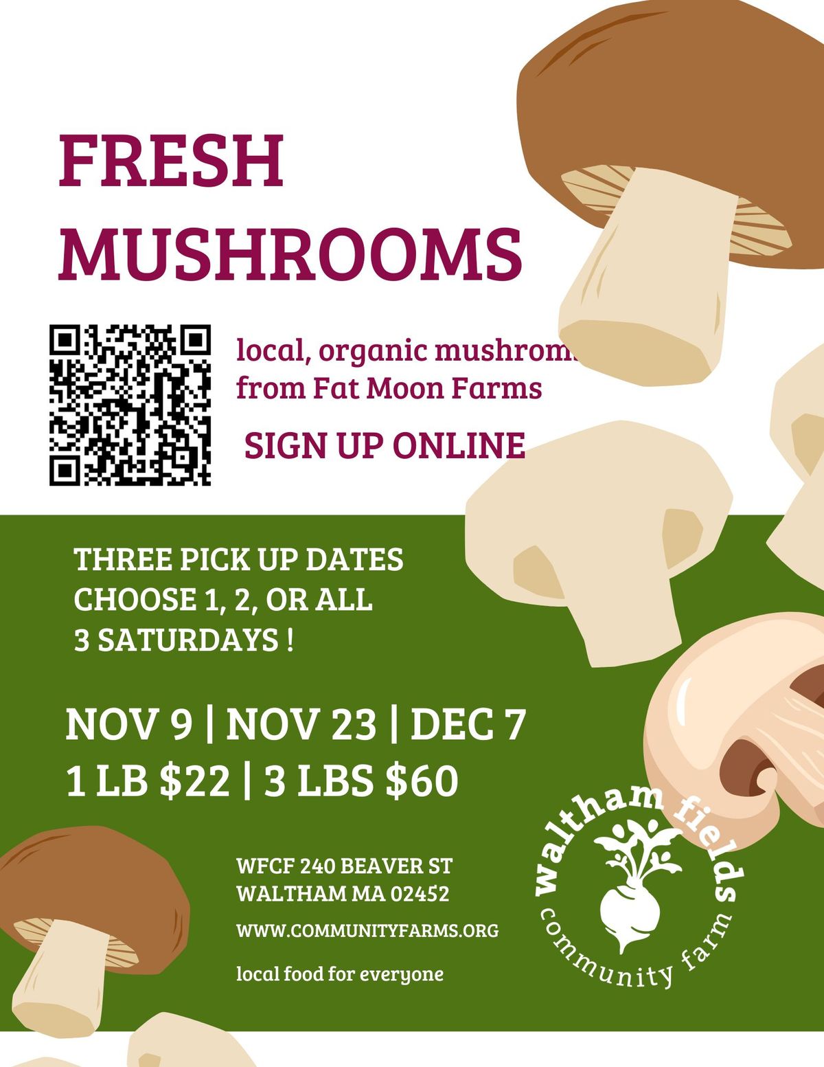 Preorder deadline! Fresh Mushroom Preorder #2 | 1 lb or 3 lbs