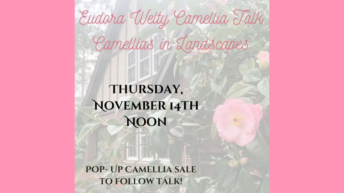 Camellia Talk & Flash Sale