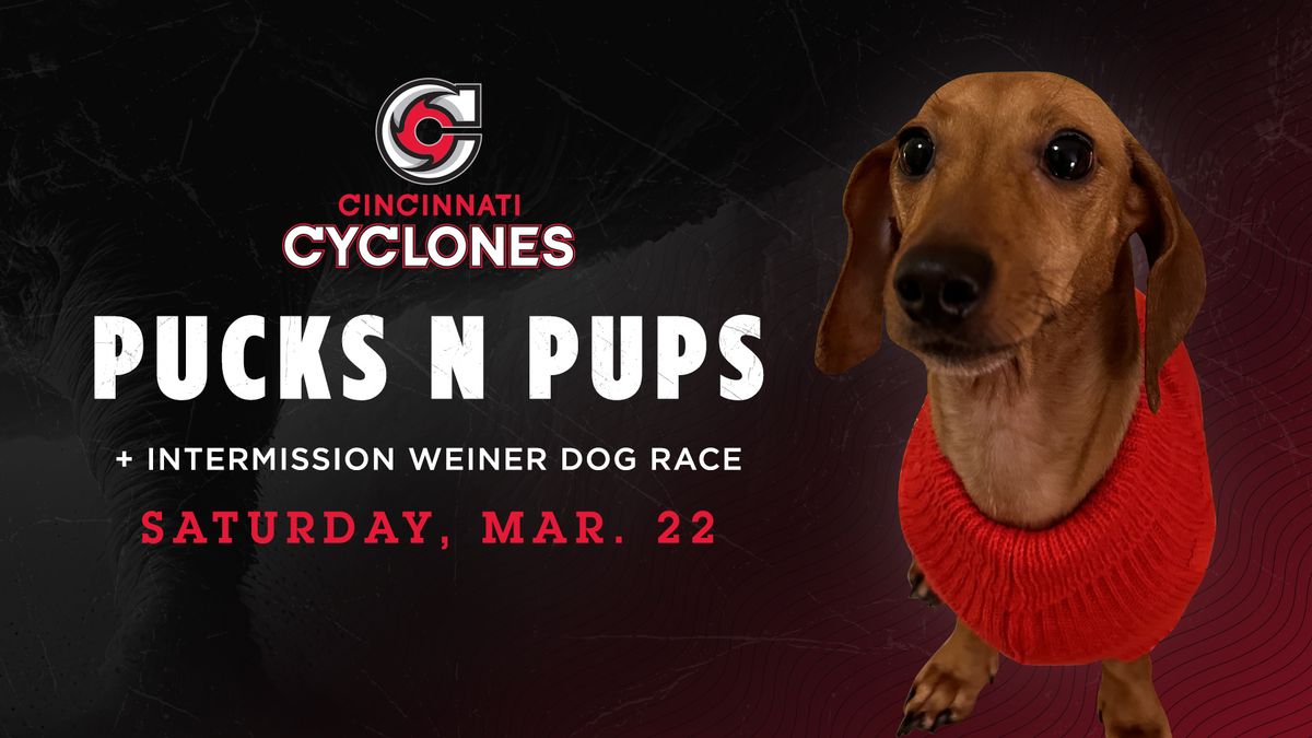 Cincinnati Cyclones V Wings | Pucks N Pups Night