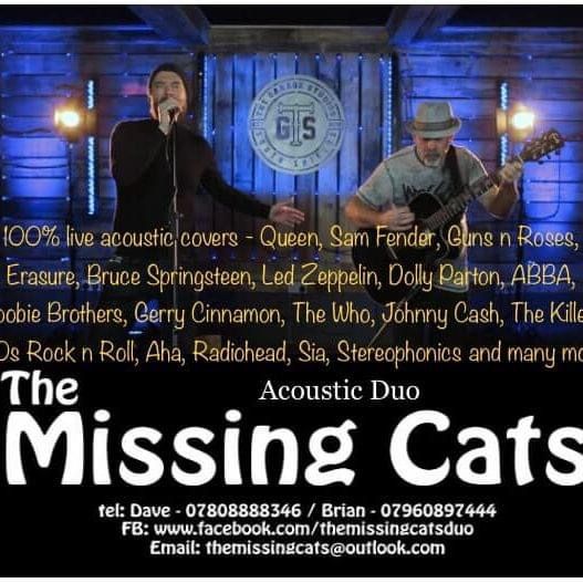 The Missing Cats Duo