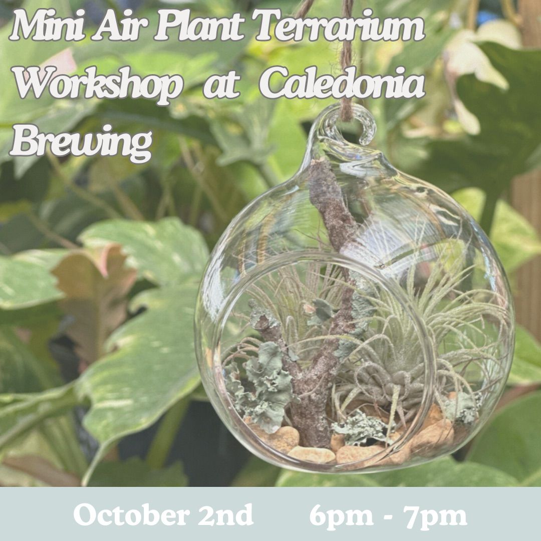 Mini Air Plant Terrarium Workshop at Caledonia Brewing