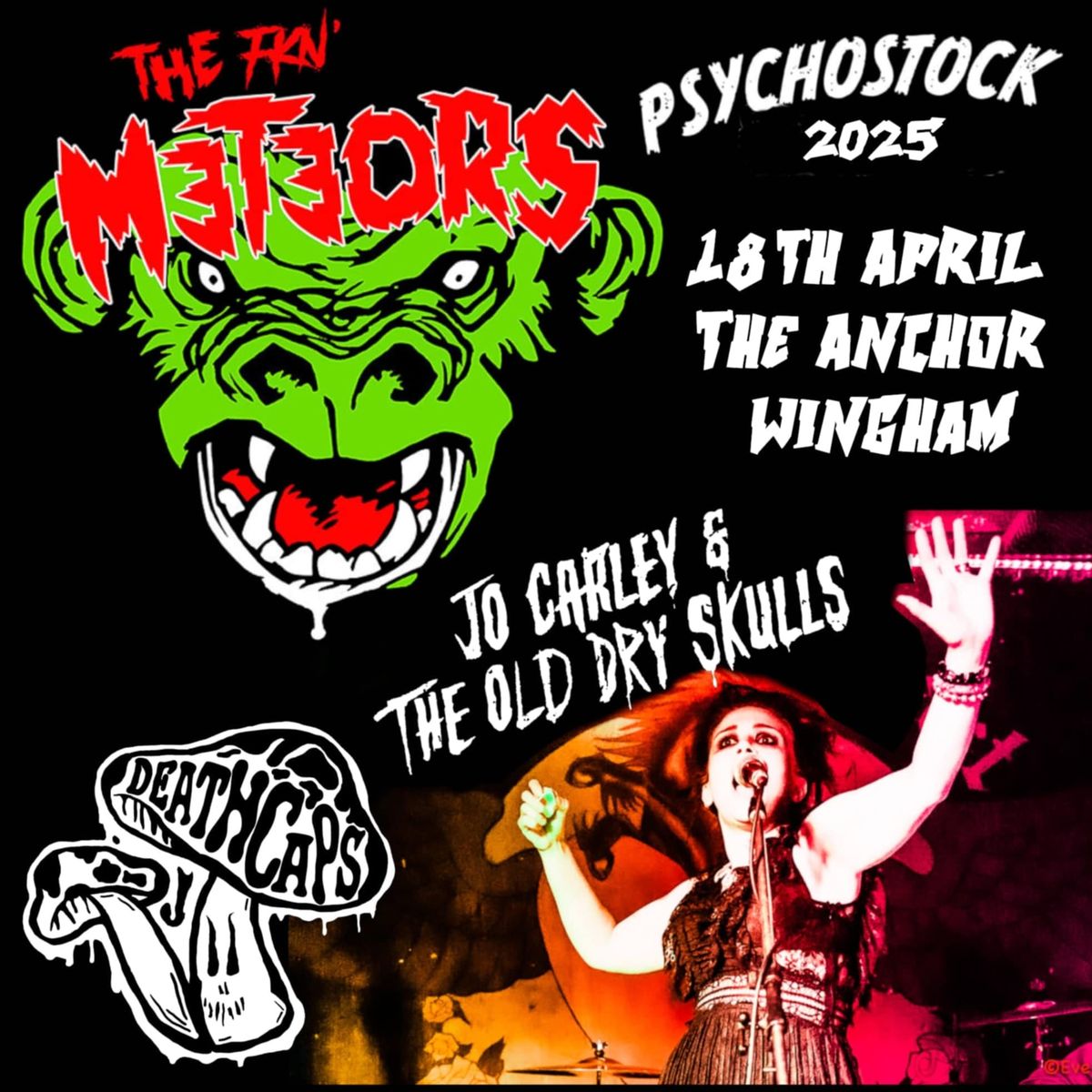 The FKN' METEORS play PSYCHOSTOCK 2