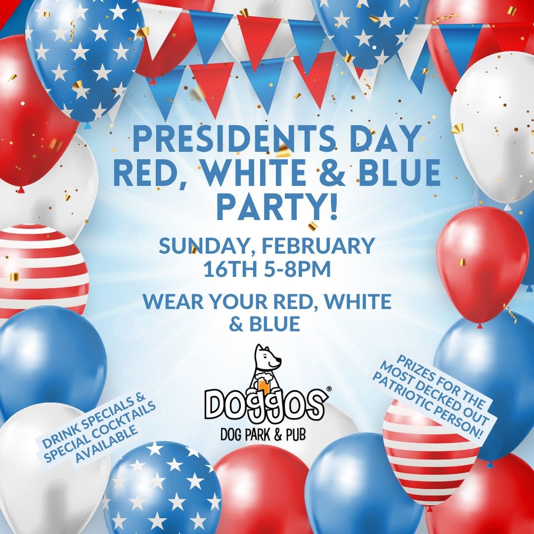 Red, White and Blue Party