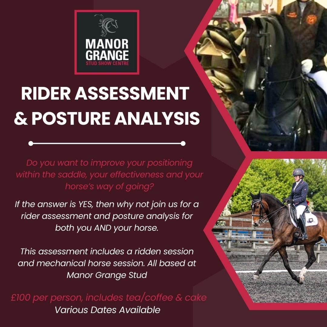 Rider Posture Analysis with own horse