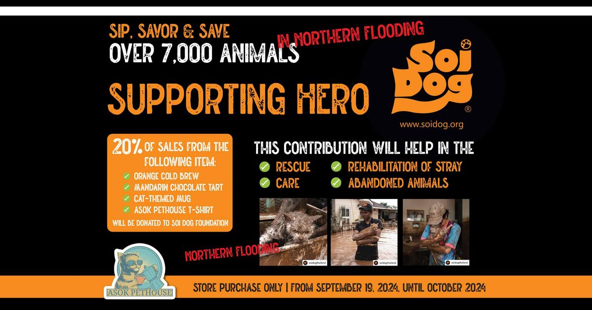 Sip, Savor & Save over 7,000 animals in Northern Flooding | Asok Pethouse partners with Soi Dog