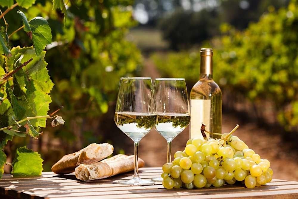 Spectacular Whites for Summer
