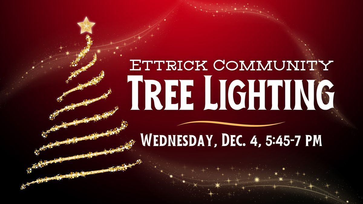 Tree Lighting - Ettrick