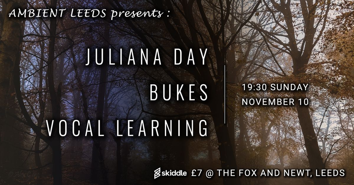 Ambient Leeds: Juliana Day \/\/ Bukes \/\/ Vocal Learning