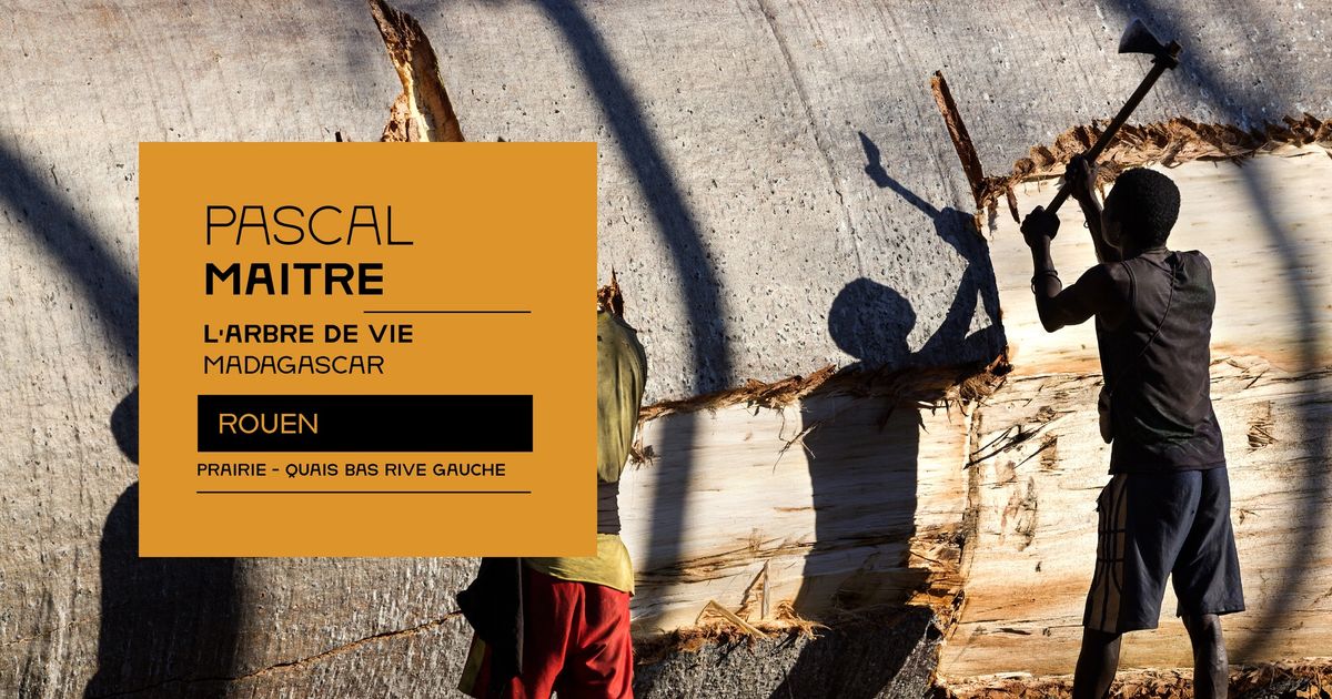 EOP 2024 - L\u2019arbre de vie Madagascar