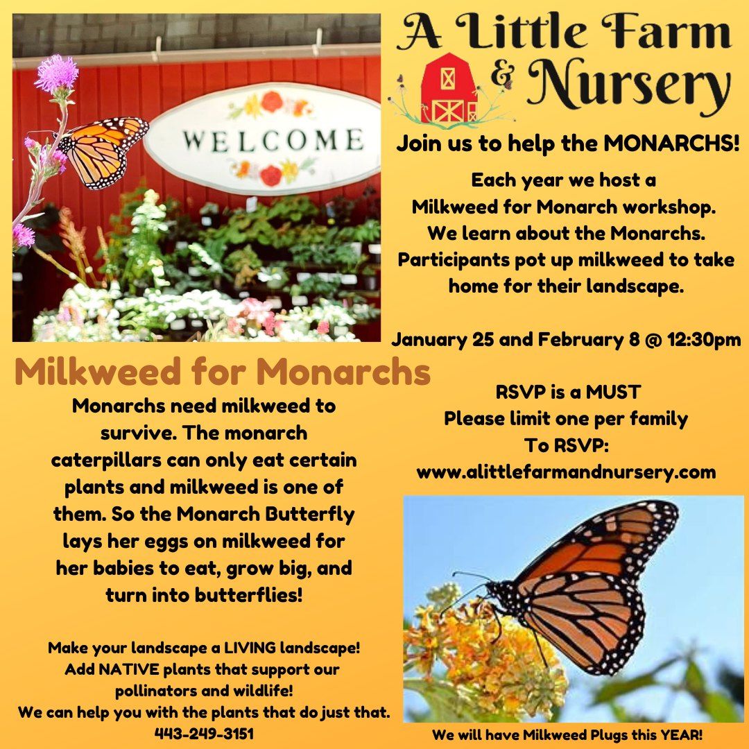 Milkweed for Monarchs Workshop OUTDOORS