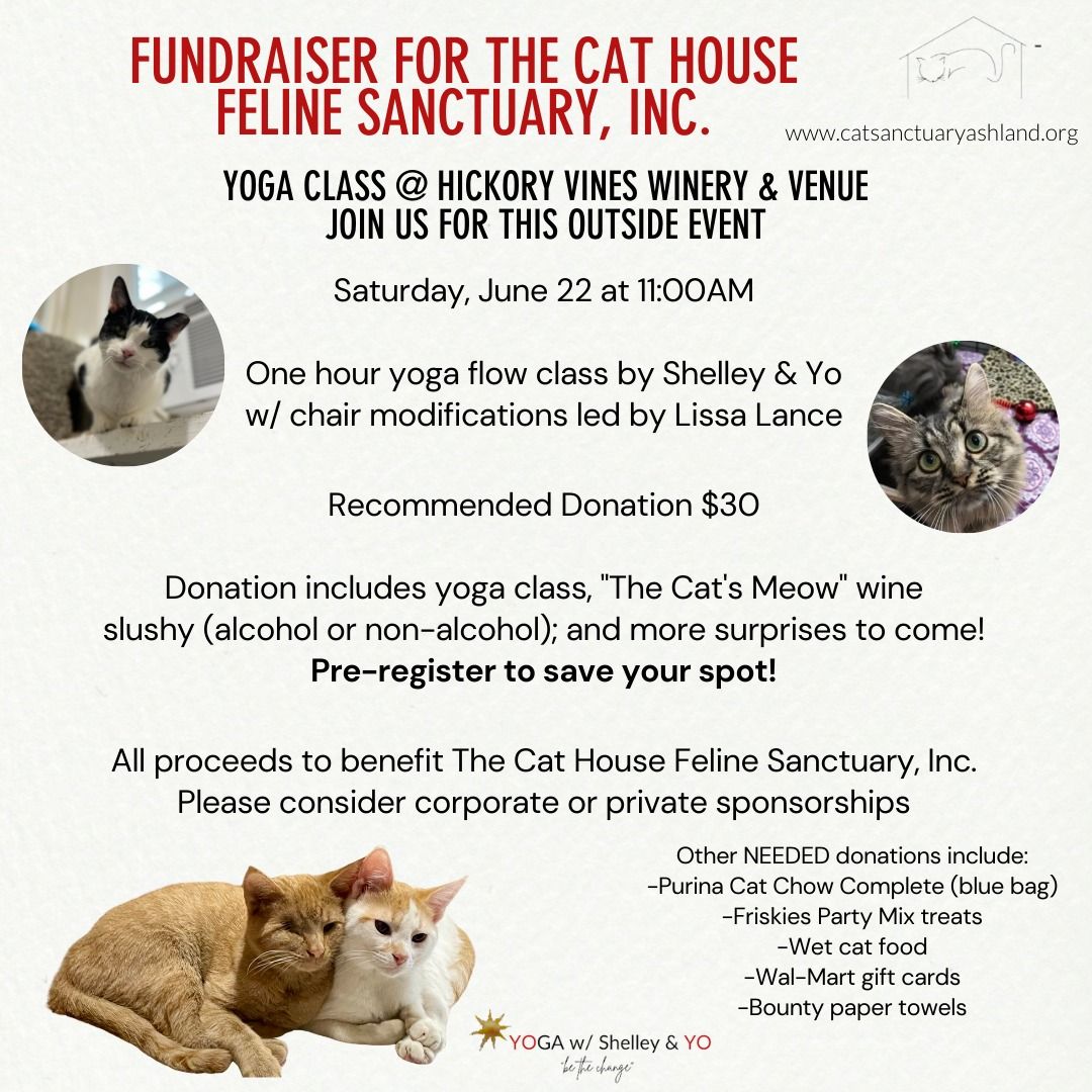 Fundraiser for The Cat House Feline Sanctuary, Inc.