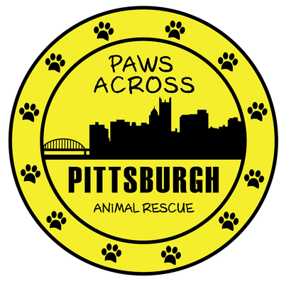 Paws Across Pittsburgh