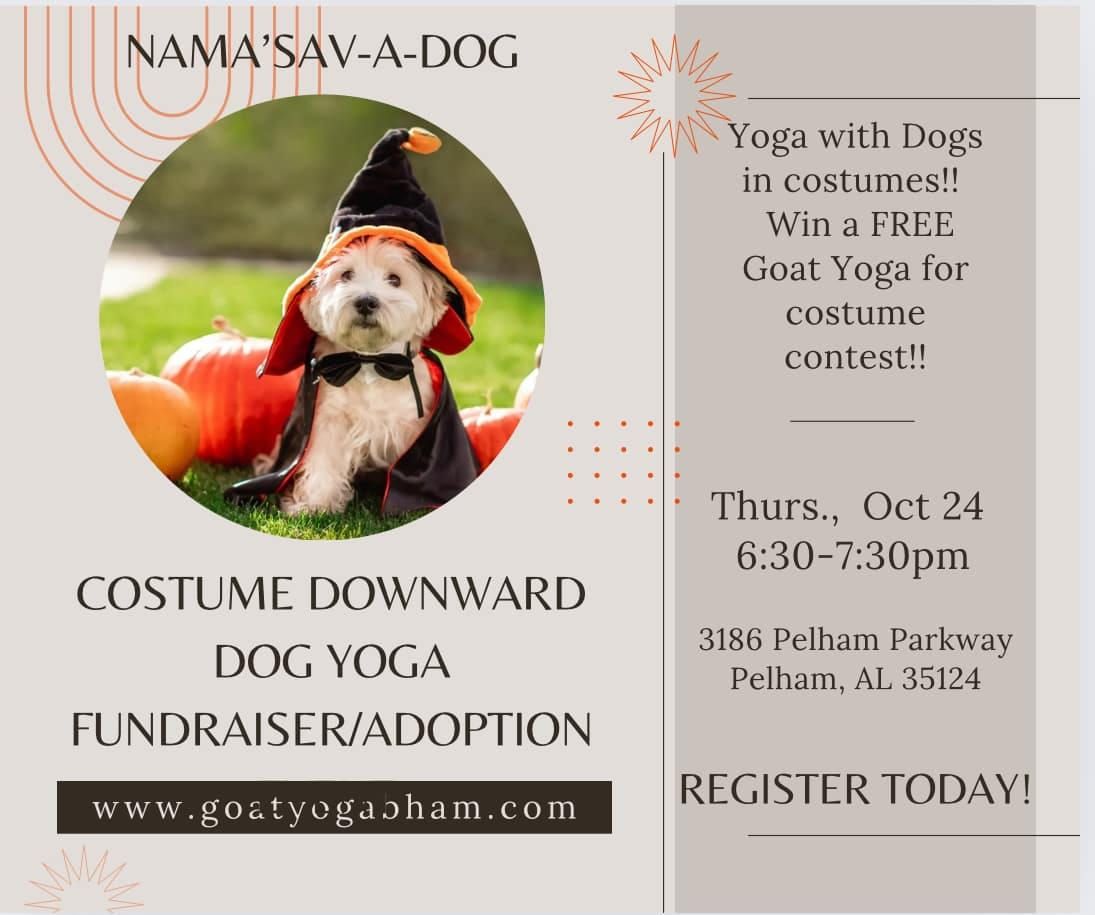 Nama'Sav-a-dog Costume Downward Dog Yoga Fundraiser