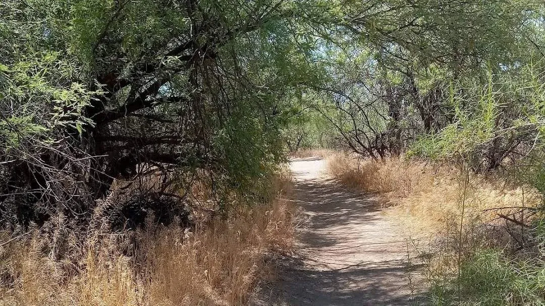 Isabella Lee Nature Preserve Walk