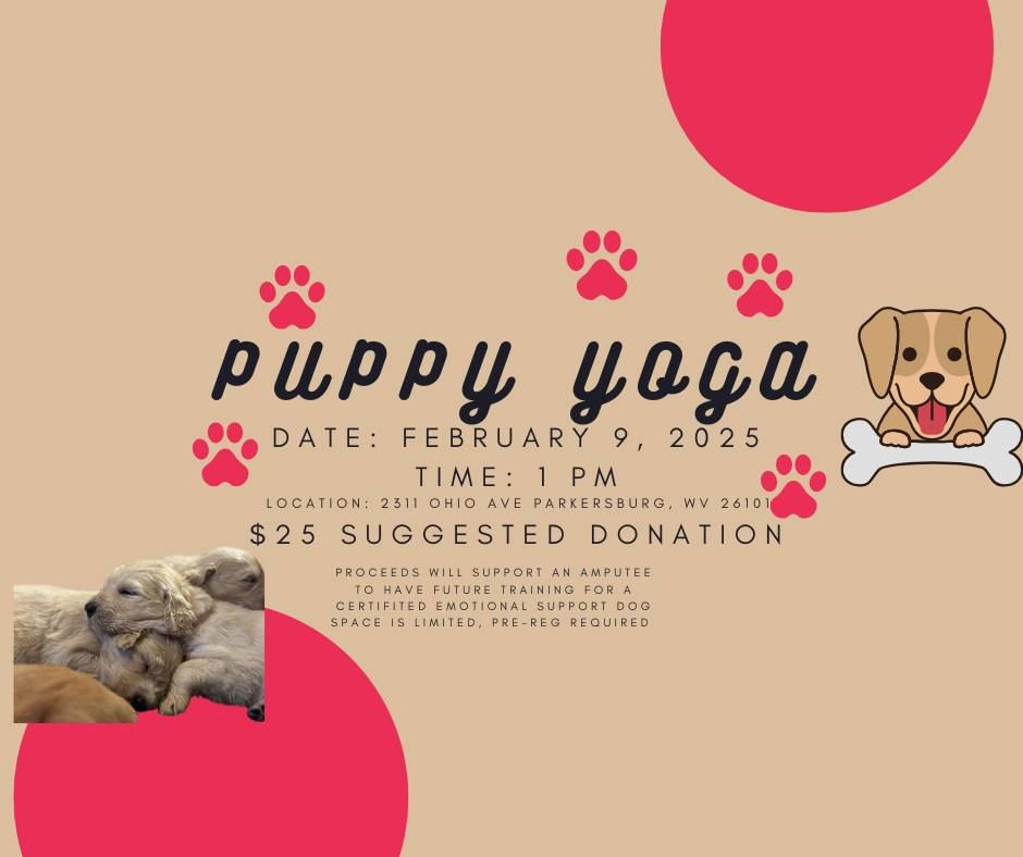 Puppy Yoga ! A benefit for ESA at the Amputee Center 