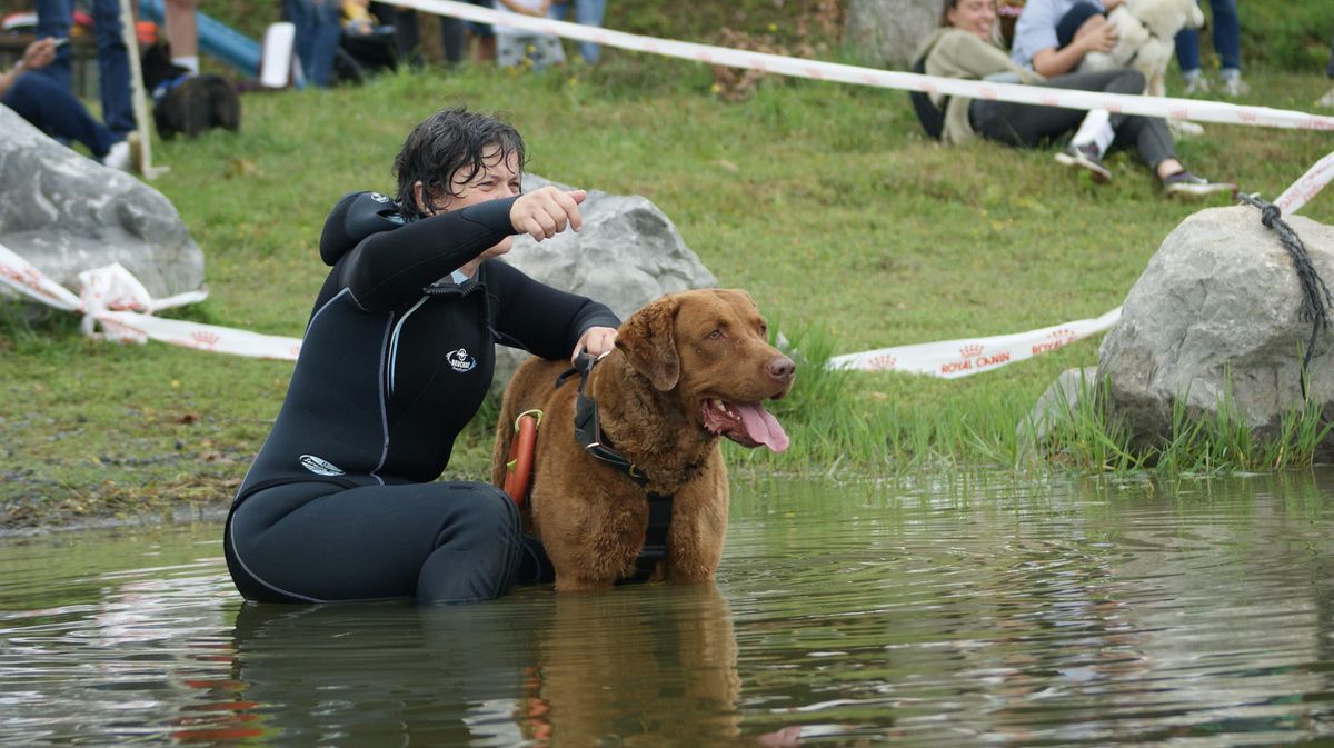 Festi'Dog 2025 | Premier festival canin dans les Landes