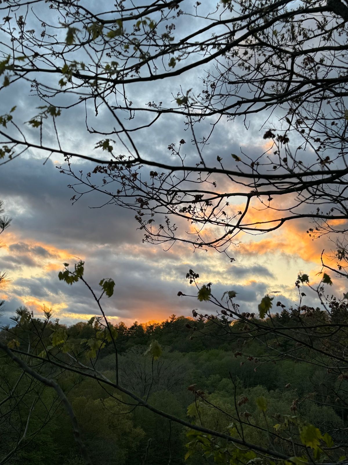 16 mile creek evening hike - May 15th 7pm 