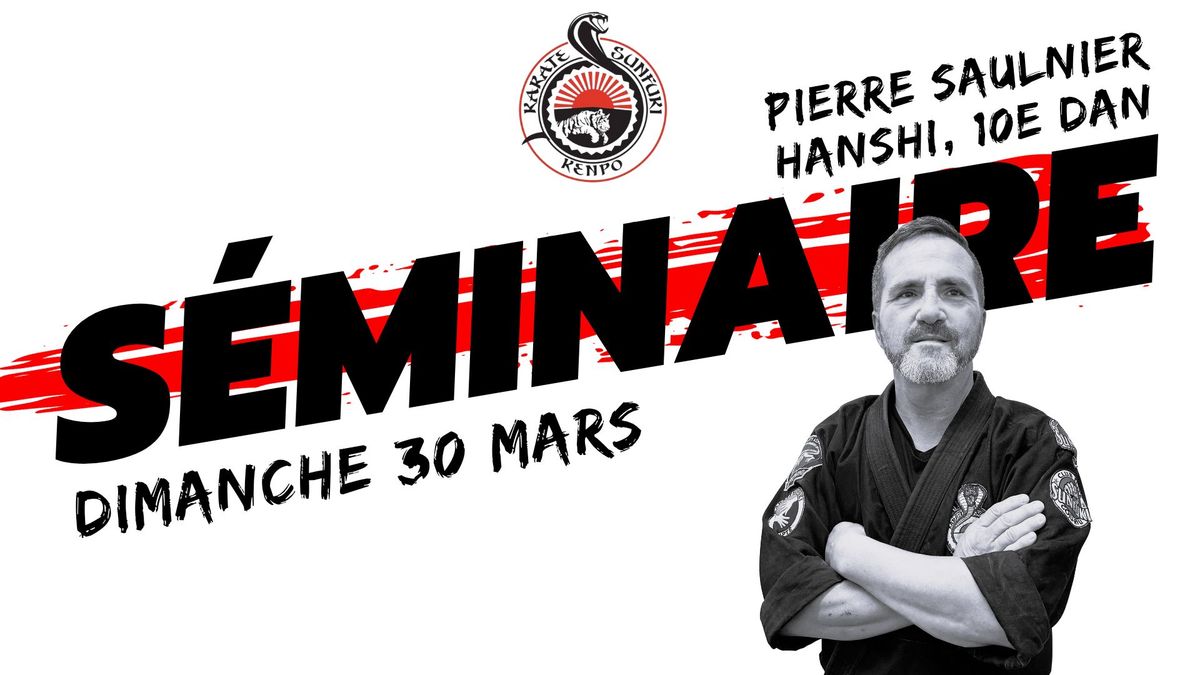 S\u00e9minaire avec Pierre Saulnier, Hanshi 10e Dan