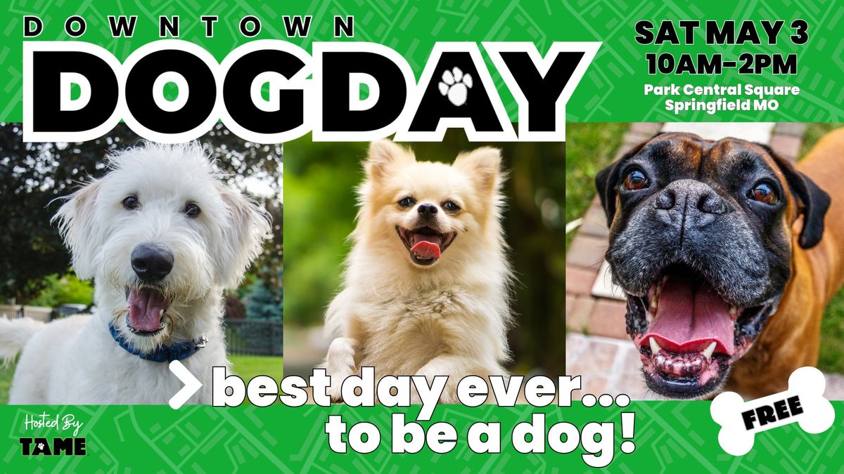 DOWNTOWN DOG DAY - SPRINGFIELD MO 2025