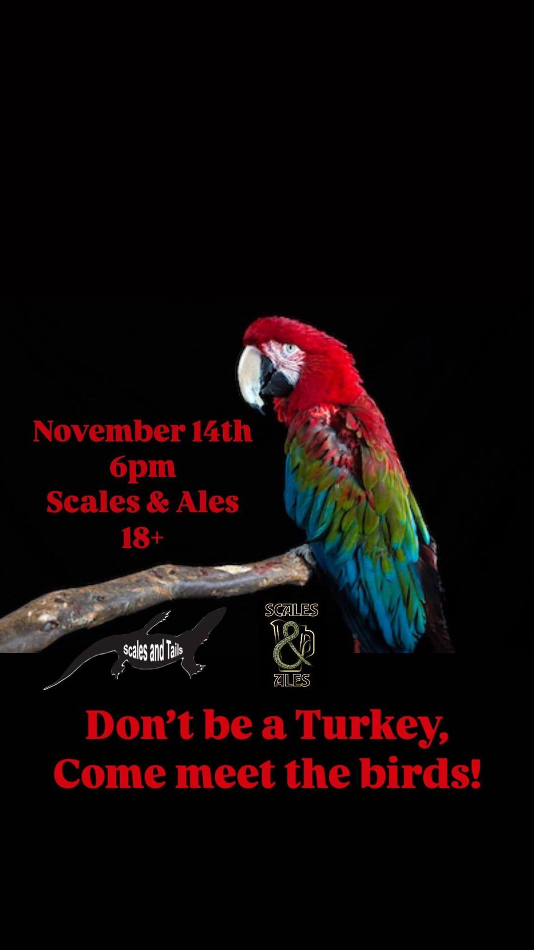 Scales & Ales - Come meet the Birds! 