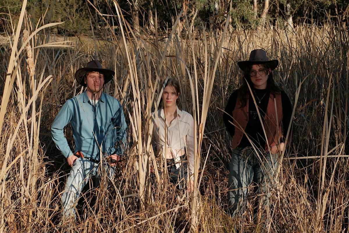 Gecko WANTED DEAD OR ALIVE