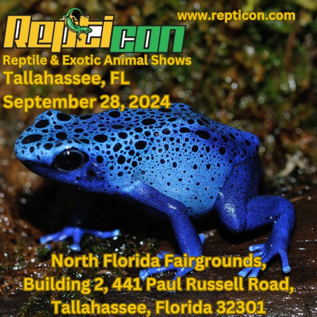 Reptiday Tallahassee