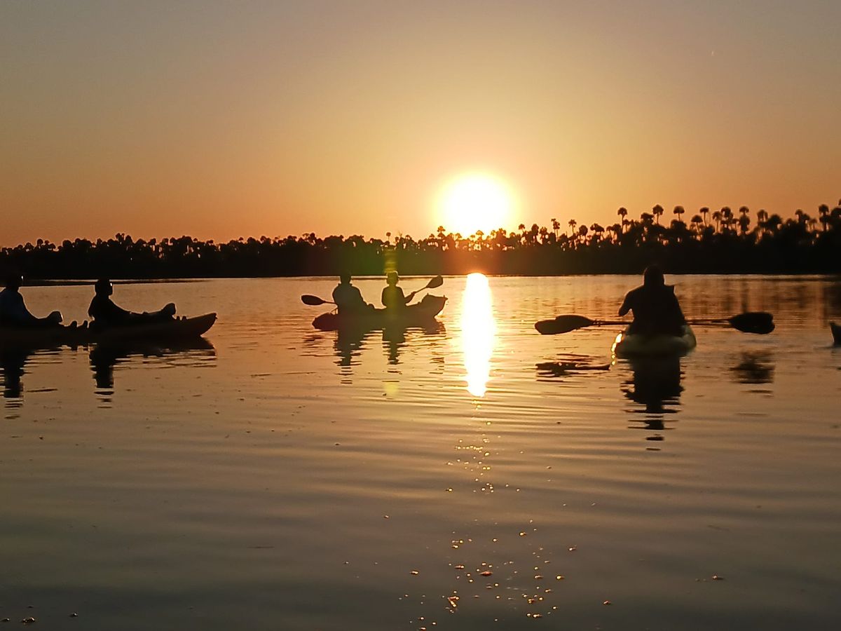 Wildlife Wednesday - Sunset Kayak Tour