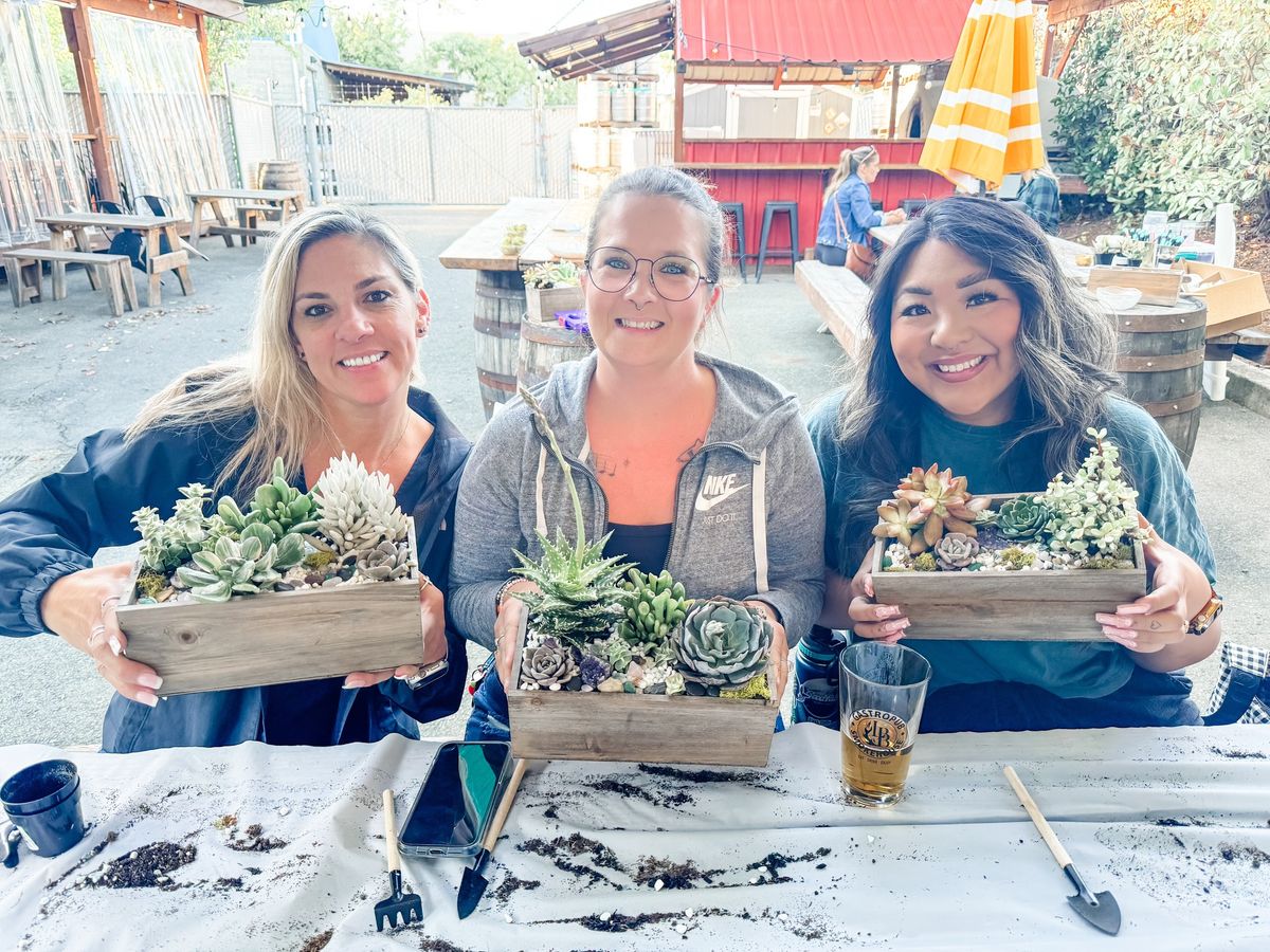 Summer Solstice Succulent Garden Box Workshop