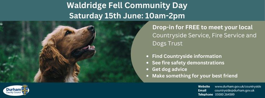 Waldridge Fell Community Day: Meet the Dogs Trust & the Fire Service