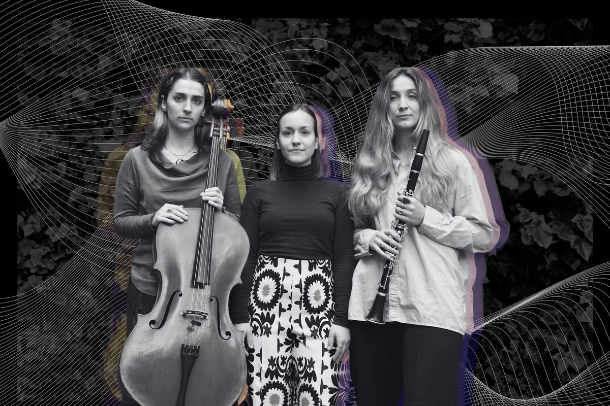 Terra Invisus \u2013 contemporary music trio