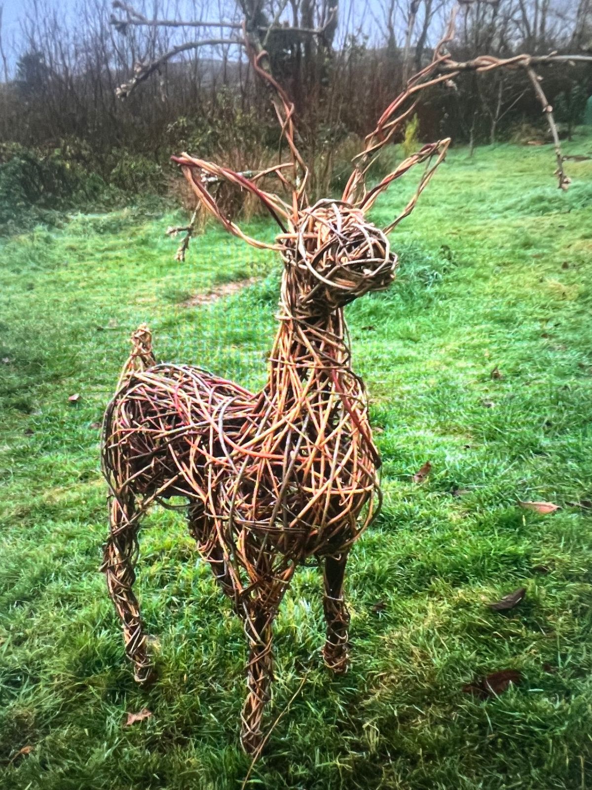 Reindeer Sculpture Workshop