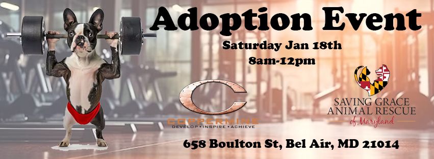 Adoption Event! 